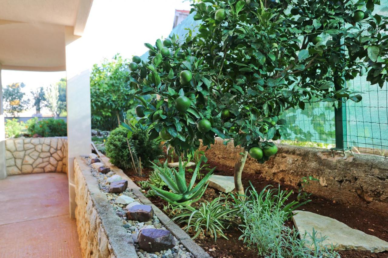 Apartman Dani Zadar Exterior foto